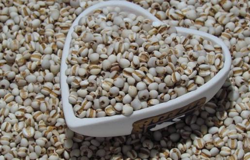 薏米對肌膚的好處:薏米助你美白!