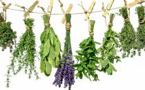 藥妝是什么？如何挑選藥妝？