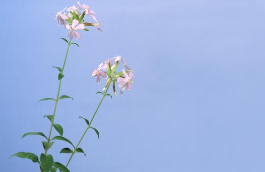 有雙下巴？教你快速消除雙下巴！