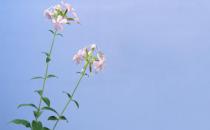 有雙下巴？教你快速消除雙下巴！