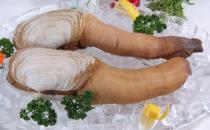 象拔蚌熱銷(xiāo)中國(guó) 象拔蚌的營(yíng)養(yǎng)價(jià)值