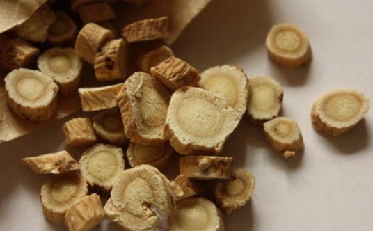 怎么通過中醫來補血？中藥調養的方法