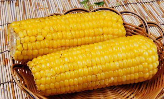 吃玉米有什么好處？吃玉米會(huì)上火嗎？
