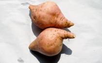 紅薯應(yīng)該什么時(shí)候吃？吃紅薯有什么好處？