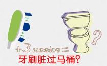 牙刷和口紅真的臟過(guò)馬桶？