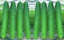 黃瓜的功效