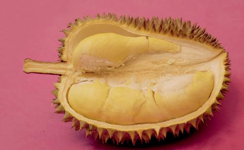 吃不完的榴蓮該如何保存?