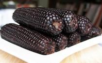 女人想要氣色好就吃黑色食物