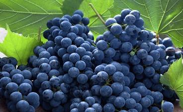 這些食物讓男人重振“雄風(fēng)”