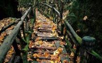 什么男人可以嫁？低調奢華有內涵