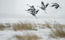 女人一生要談多少場戀愛才好？