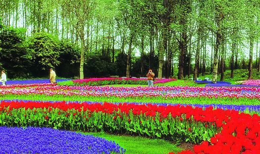 露臺花園怎么設計？露臺花園的設計原則