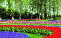 露臺花園怎么設計？露臺花園的設計原則