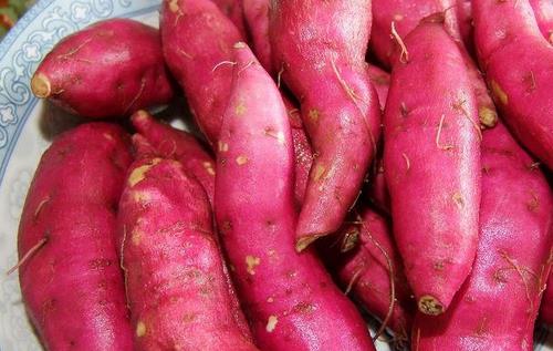 男人必吃的十大秋季養生菜