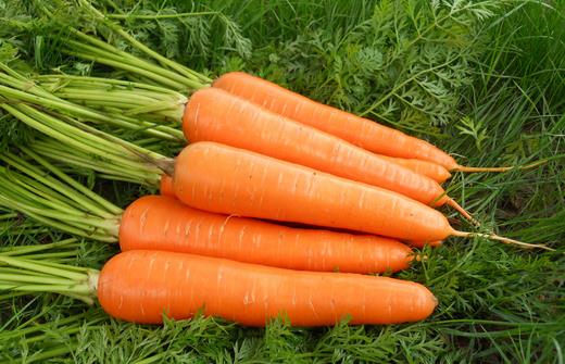 女人冬季怎么吃能保暖?推薦四道暖身菜