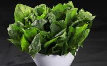 菠菜含鐵高？營養師稱這是個誤區