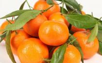 孕婦能吃橘子嗎？孕期吃橘子的好處與禁忌