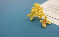 桂花對家居環境的影響-桂花的介紹