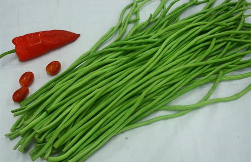 補(bǔ)腎壯陽(yáng)必吃的7道家常菜