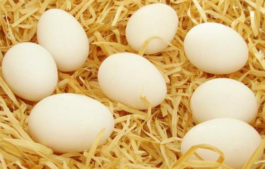 感冒不宜吃哪些食物？感冒患者飲食禁忌