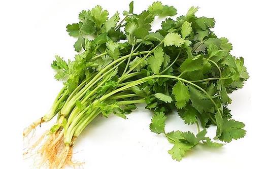 中年男人防脫發(fā)應(yīng)該吃什么好