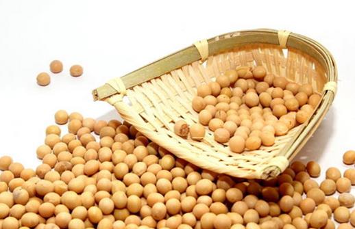 冬季如何進補合適？冬天補脾胃的方法