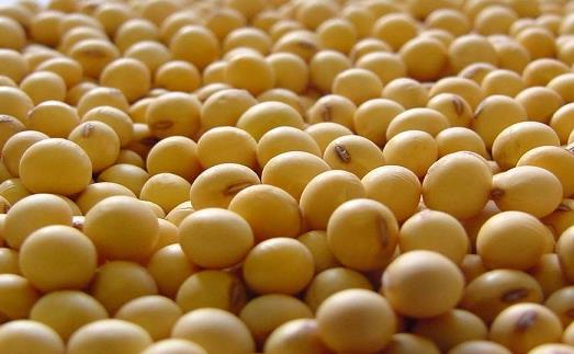 女人吃什么少得病？女性健康飲食方案推薦