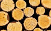 楸木應該怎么鑒別？楸木板材的優缺點