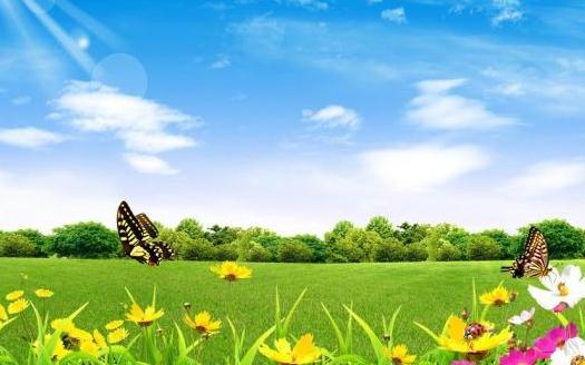 急用空氣凈化器？怎么選擇空氣凈化器？