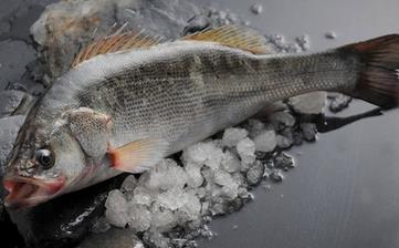 鱸魚_鱸魚的營養價值,營養成分,功效與作用,清蒸鱸魚的做法大全