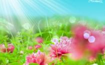 選擇空氣凈化器要看哪些參數？