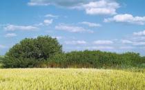 97%的用戶對空氣凈化器有所需求