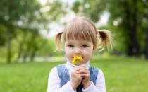 空氣凈化器的監管應該如何跟進？