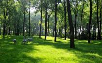 空氣凈化器技術流派的利弊分析