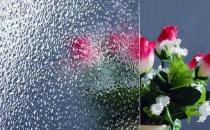 壓花玻璃的選購技巧-壓花玻璃的簡介