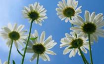 選購(gòu)空氣凈化器要認(rèn)清“CQC”