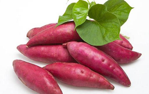 紅薯,世界上性價比最高的食物