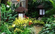 庭院風(fēng)水設(shè)計(jì)要點(diǎn)-庭院風(fēng)水水池如何布置？