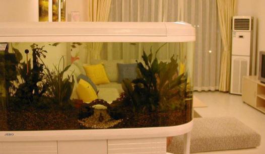 魚缸擺放風水的注意事項有哪些？