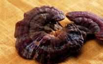 上班族護肝 推薦適合白領養(yǎng)肝的三大方法