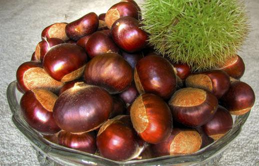 女性經期吃什么食物好？