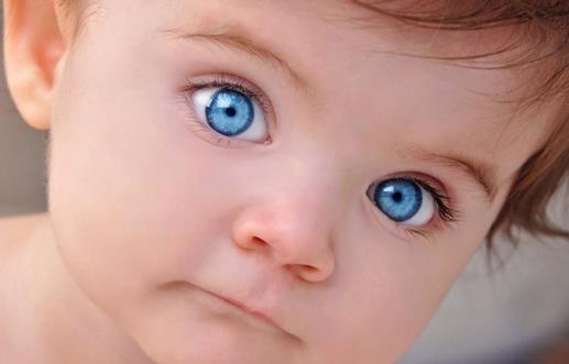 寶寶多吃10種食物預(yù)防眼疾