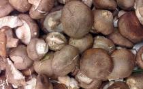 卵巢早衰有四種表現 7種食物預防卵巢衰老