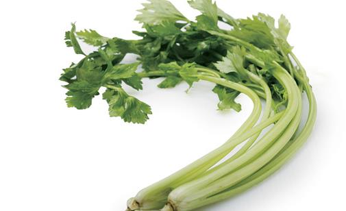 男性吃哪些食物會傷害到精子