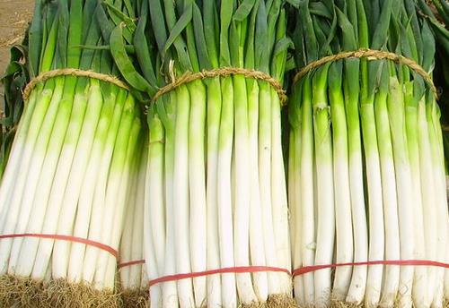 哪些食物有壯陽的功效?3款養(yǎng)生菜堪比壯陽藥