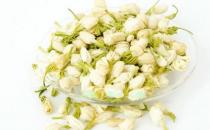 茉莉花的排毒養顏奇效