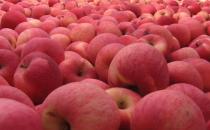 節后應清腸胃 9種排毒清腸的方法推薦