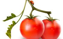 曝光膠原蛋白內幕 教你怎么吃能逆齡