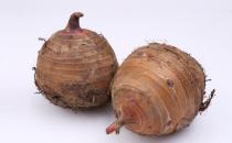 光吃肉？6種素食比肉類有營養