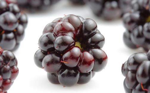 桑葚有什么功效？盤點(diǎn)桑葚的營養(yǎng)與功效